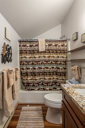 Hair dryer, towels, shampoo, toilet paper