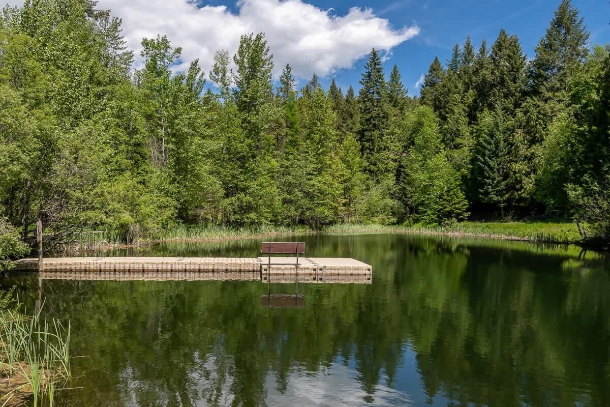 En stilla sjö med en träbrygga som sträcker sig ut i vattnet, omgiven av tät, grön skog.