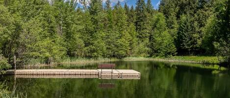 En stilla sjö med en träbrygga som sträcker sig ut i vattnet, omgiven av tät, grön skog.