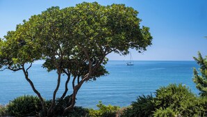 A tree-lined beach with a clear view of the sea and a sailboat in the distance. - Luxury Seafront Dependance in Fertilia (Fertilia)