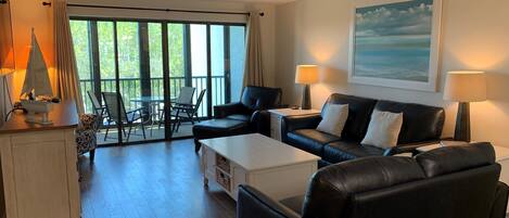 تلفزيون، مشغل دي في دي