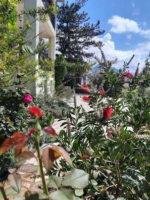 DĂ©tail de lâextĂ©rieur