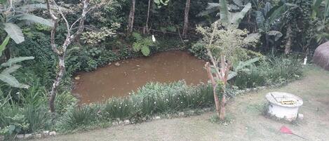 Área da propriedade