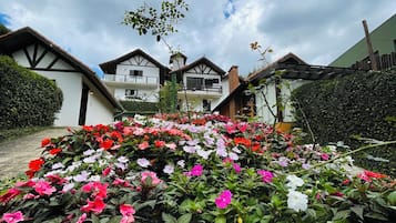 Jardín