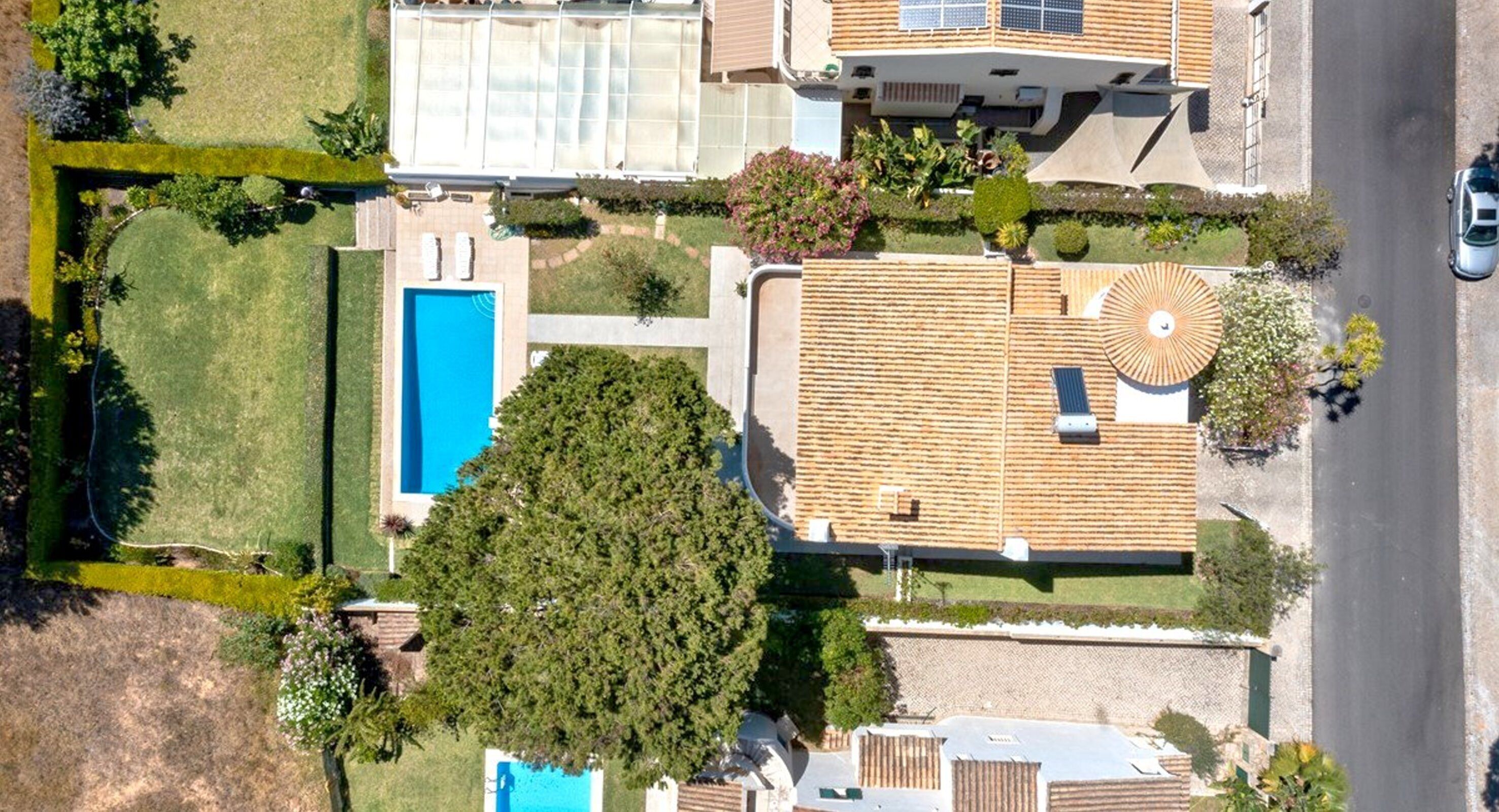 Vue aérienne d’un quartier résidentiel avec une piscine, un grand arbre et une maison dont le toit est recouvert de tuiles.