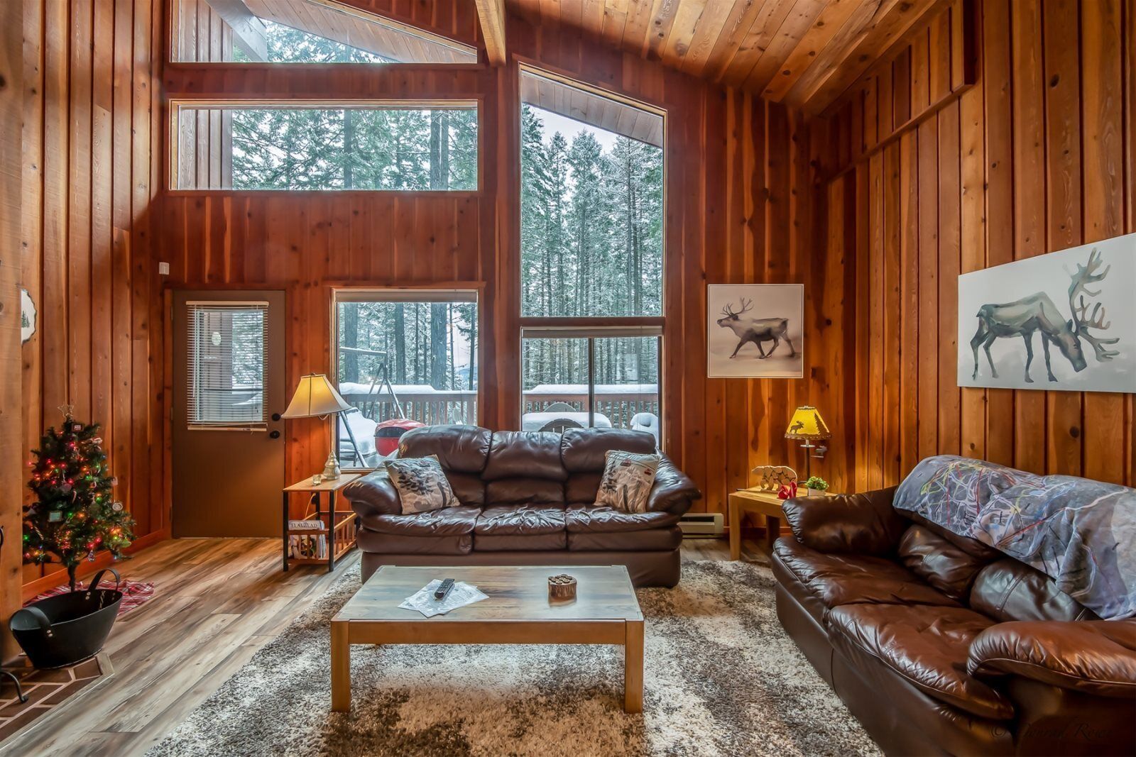 Cheminée, lecteur de DVD, services de streaming