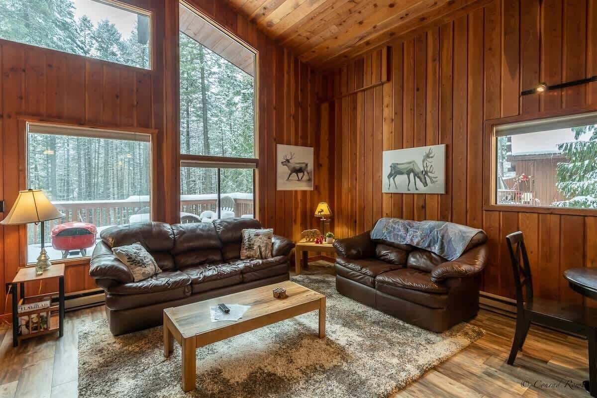 TV, fireplace, streaming services