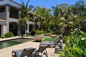 Property grounds - African Palm Red cottage (Durbanville , Cape Town)