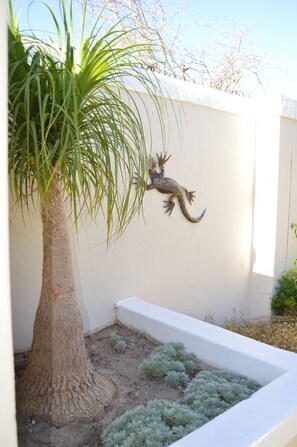Exterior detail - African Palm Blue cottage (Durbanville , Cape Town)