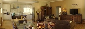 TV, fireplace, DVD player - African Palm Blue cottage (Durbanville , Cape Town)