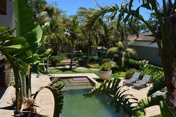 Outdoor pool - African Palm Blue cottage (Durbanville , Cape Town)