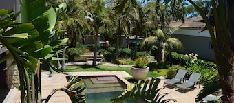 African Palm Blue hytte