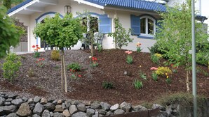 Een huis met een blauw dak, een tuin met verschillende planten en bloemen, en een pad van stenen dat naar de ingang leidt.