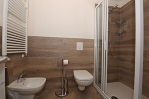 Shower, hair dryer, bidet, towels