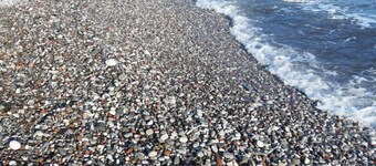 Villa Maljevik,big modern house for big family