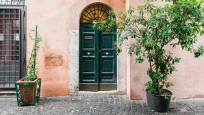 Un bâtiment avec une porte verte et un pot de fleurs devant.