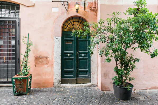 A building with a green door and a potted plant in front.