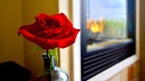 Una rosa roja solitaria en un florero de cristal sobre un alféizar.