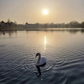 Ligstoelen aan het strand