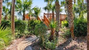 A pathway leading to a wooden deck with stairs, surrounded by palm trees and greenery.