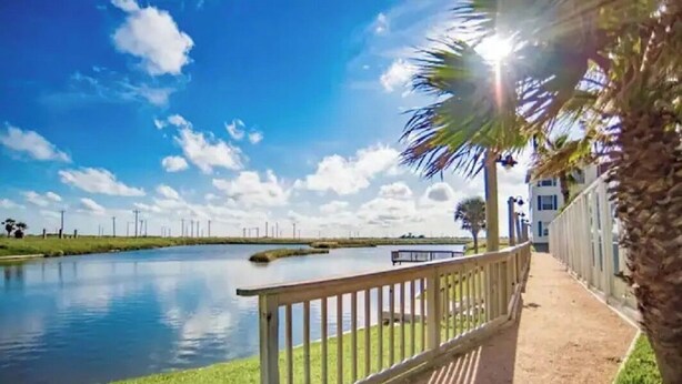 A waterfront walkway with a palm tree, a fence, and a clear sky.