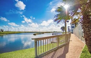 Une promenade en bord de mer, avec un palmier, une clôture et un ciel dégagé.