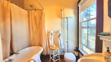 Bathtub, hair dryer