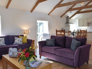 TV, fireplace, Netflix, streaming services - 3 bedroom accommodation in Mount Hawke, near St Agnes (Mount Hawke, near St Agnes)