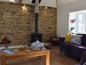 TV, fireplace, Netflix, streaming services - 3 bedroom accommodation in Mount Hawke, near St Agnes (Mount Hawke, near St Agnes)