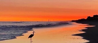 Modern Pet Friendly Home ~Ocean & ICW Views + Elevator 🐬☀️🌊