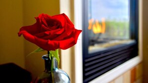 En rød rose i et glasvase på et vindueskarm.
