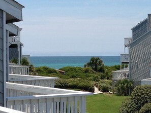 Property grounds - Turtle Tracks  Gulf View End Unit * 90 Steps to Beach * Many extras (Port Saint Joe)
