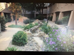 Property grounds - Beautiful Scottsdale Premium Villa 08/03/20- 03/15/20 (Scottsdale)