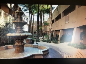 Property grounds - Beautiful Scottsdale Premium Villa 08/03/20- 03/15/20 (Scottsdale)