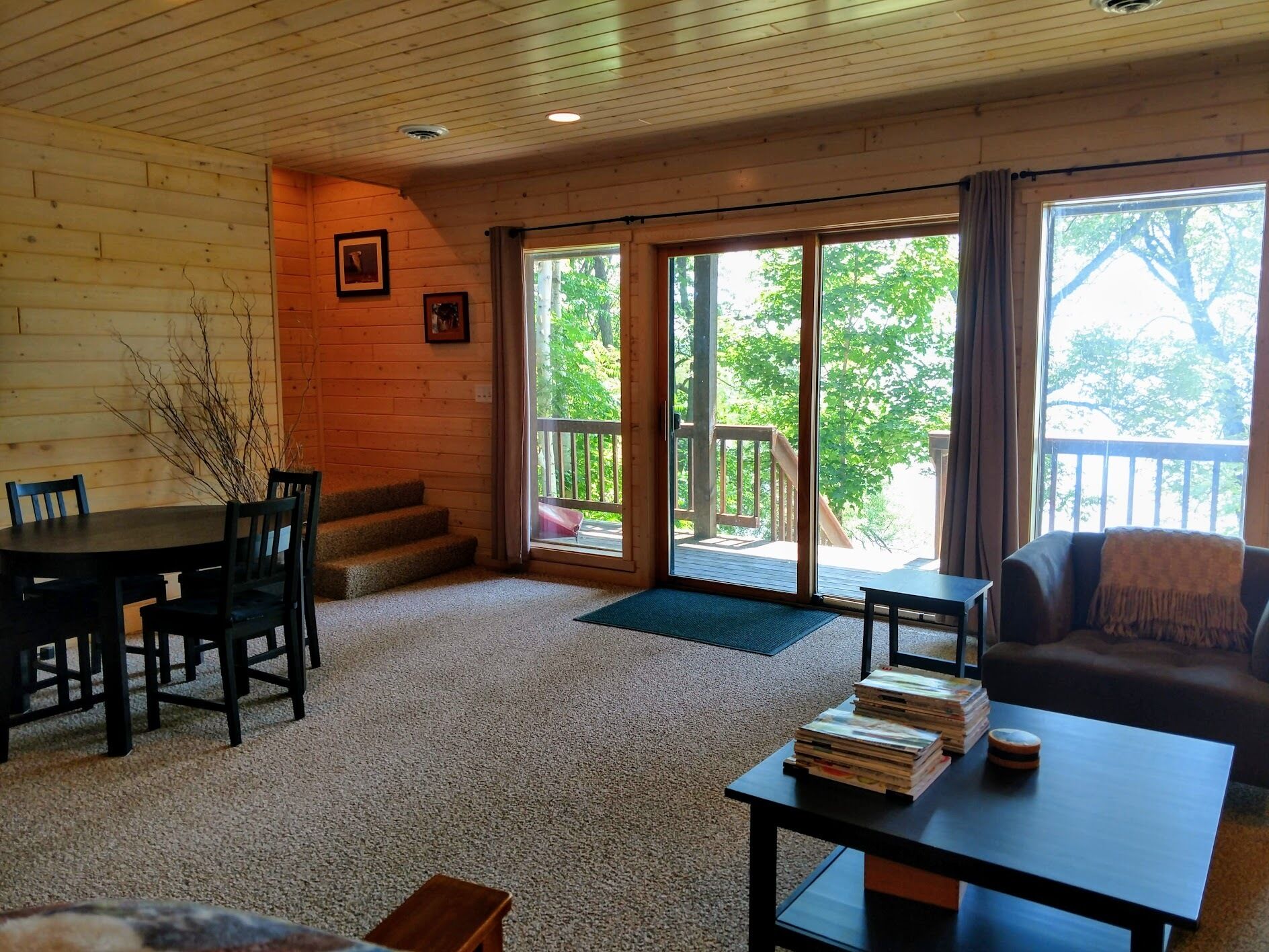 Smart TV, chimenea, reproductor de DVD y libros 