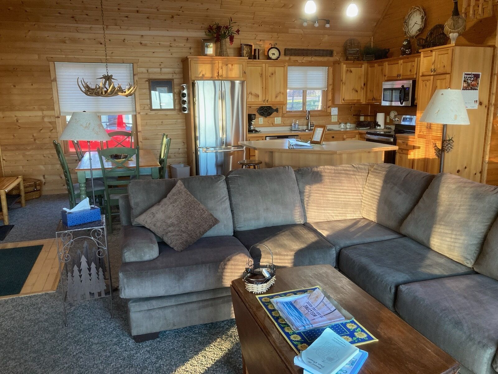 Smart TV, fireplace, DVD player, books