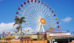 A large Ferris wheel with a sign that reads "Palm Beach."