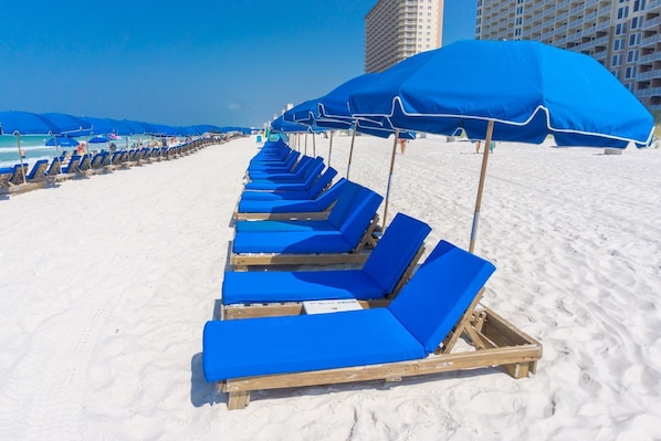 Une rangée de chaises de plage bleues, avec des parasols, sur une plage de sable, et un bâtiment en arrière-plan.