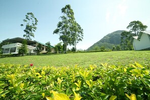 Khuôn viên nơi lưu trú