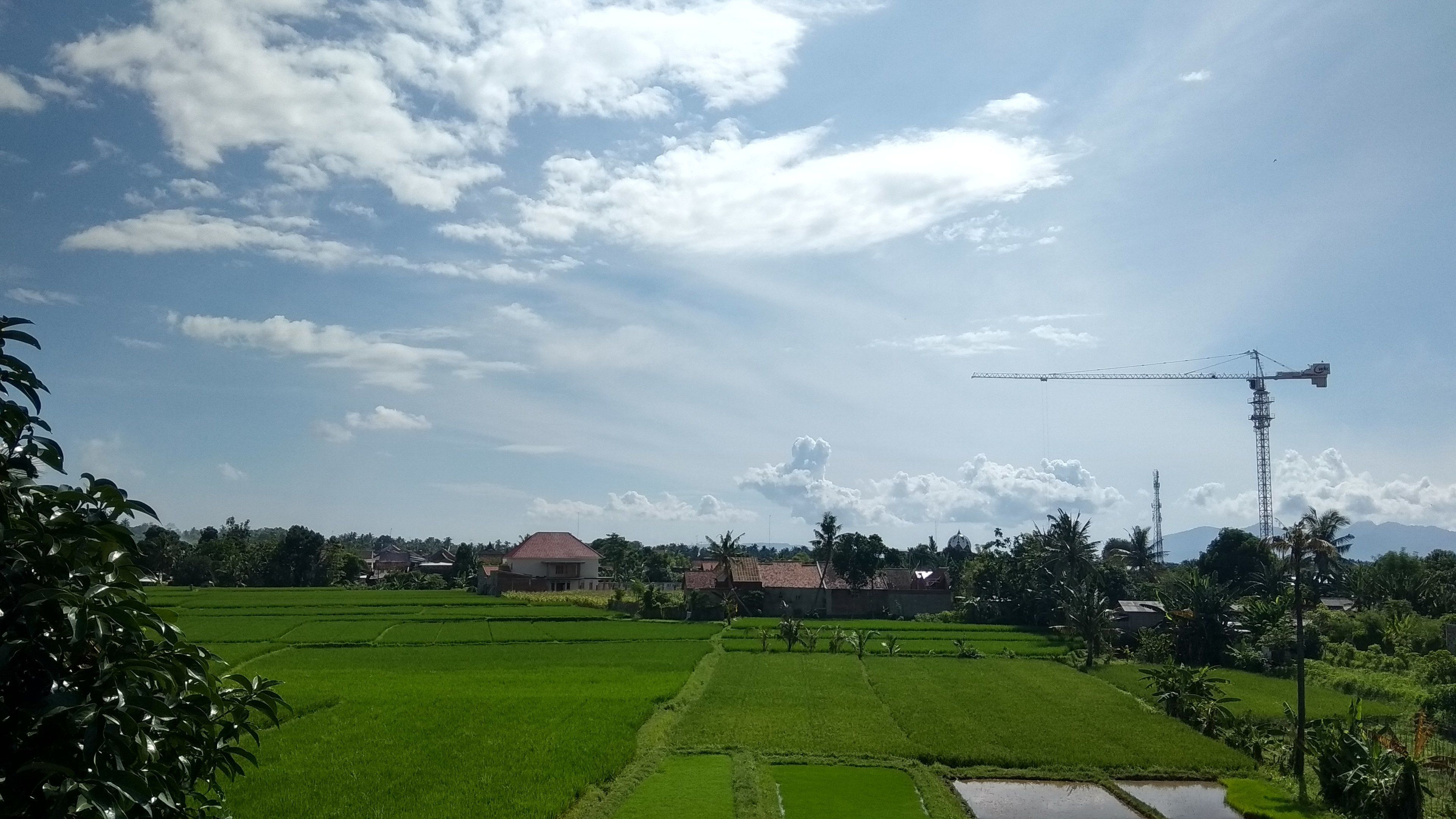 A rural landscape with green rice paddies, a few houses, and a construction crane in the distance.