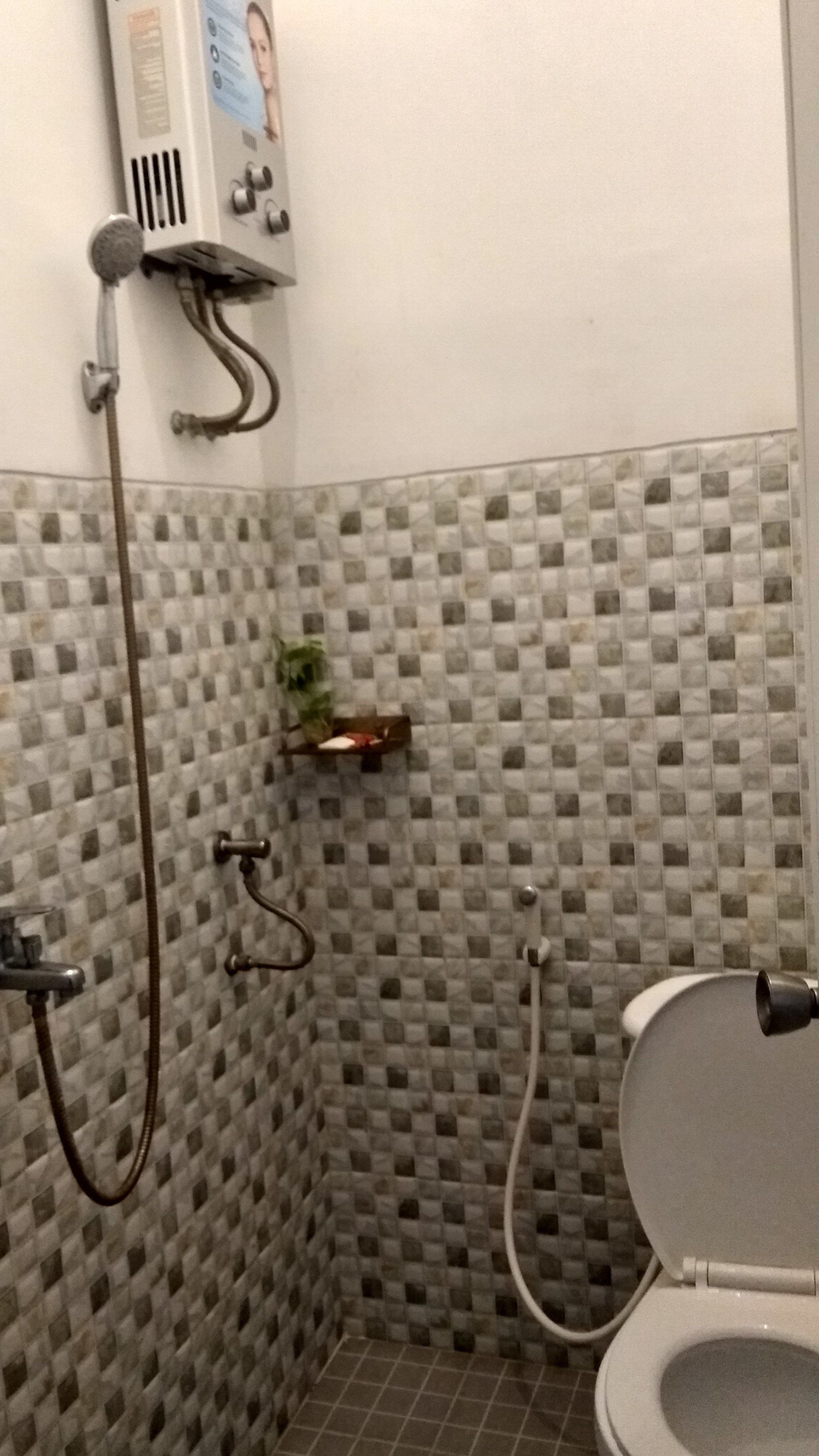 Un baño con pared de ducha azulejada, inodoro y ducha.