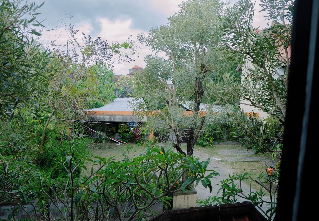 Photo - Dante Guesthouse