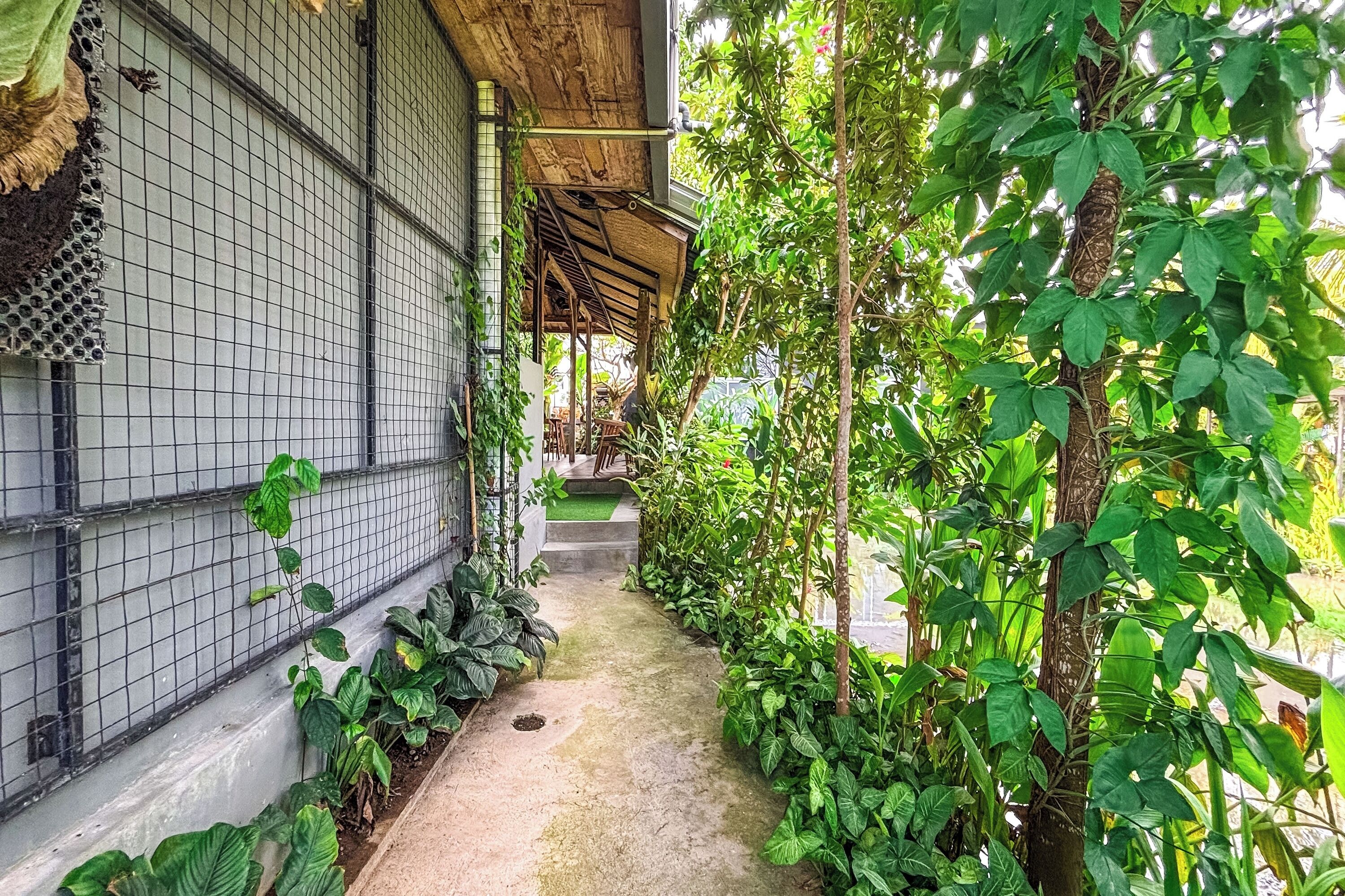 A narrow pathway flanked by lush greenery and a tiled building with a covered area.