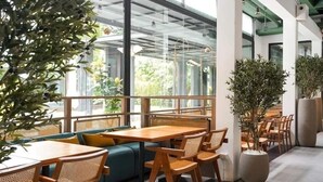 Un espacio interior moderno con mesas y sillas de madera, ventanas amplias y plantas de interior.