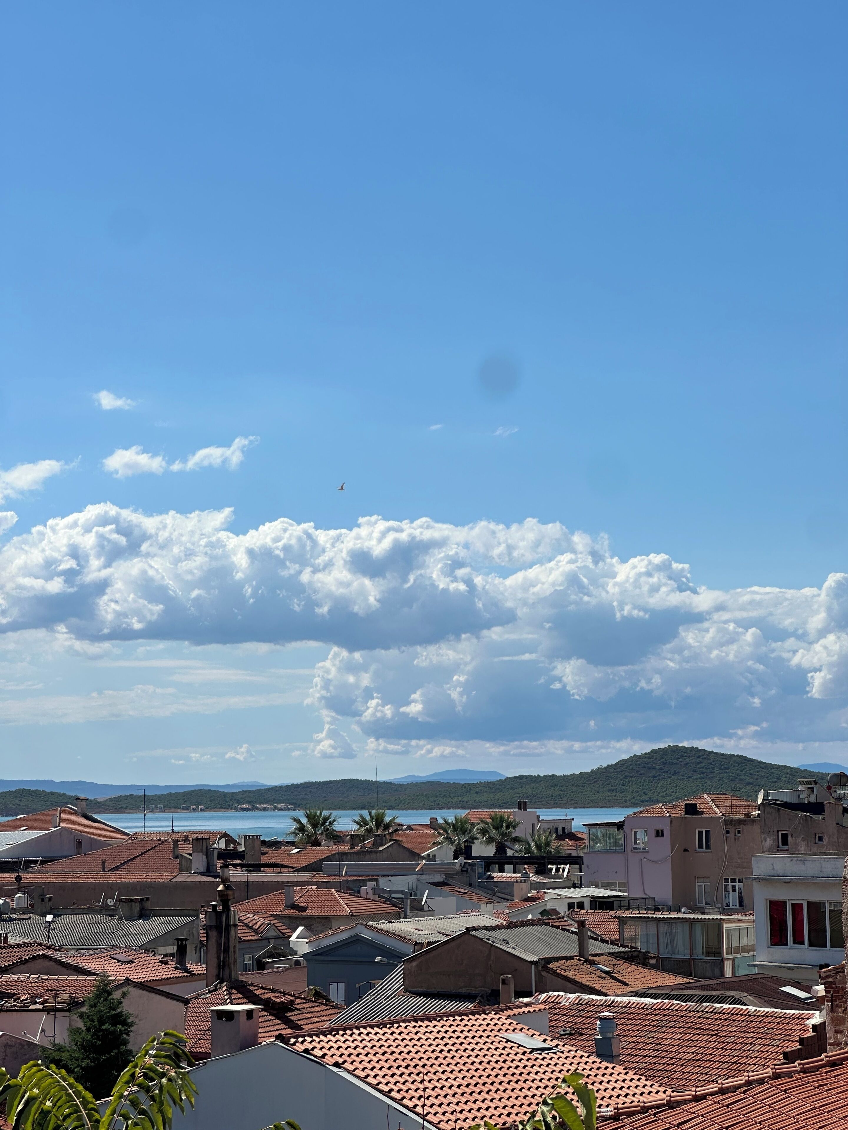 A coastal town with terracotta-roofed buildings, a clear sky, and a view of the sea and hills in the distance.
