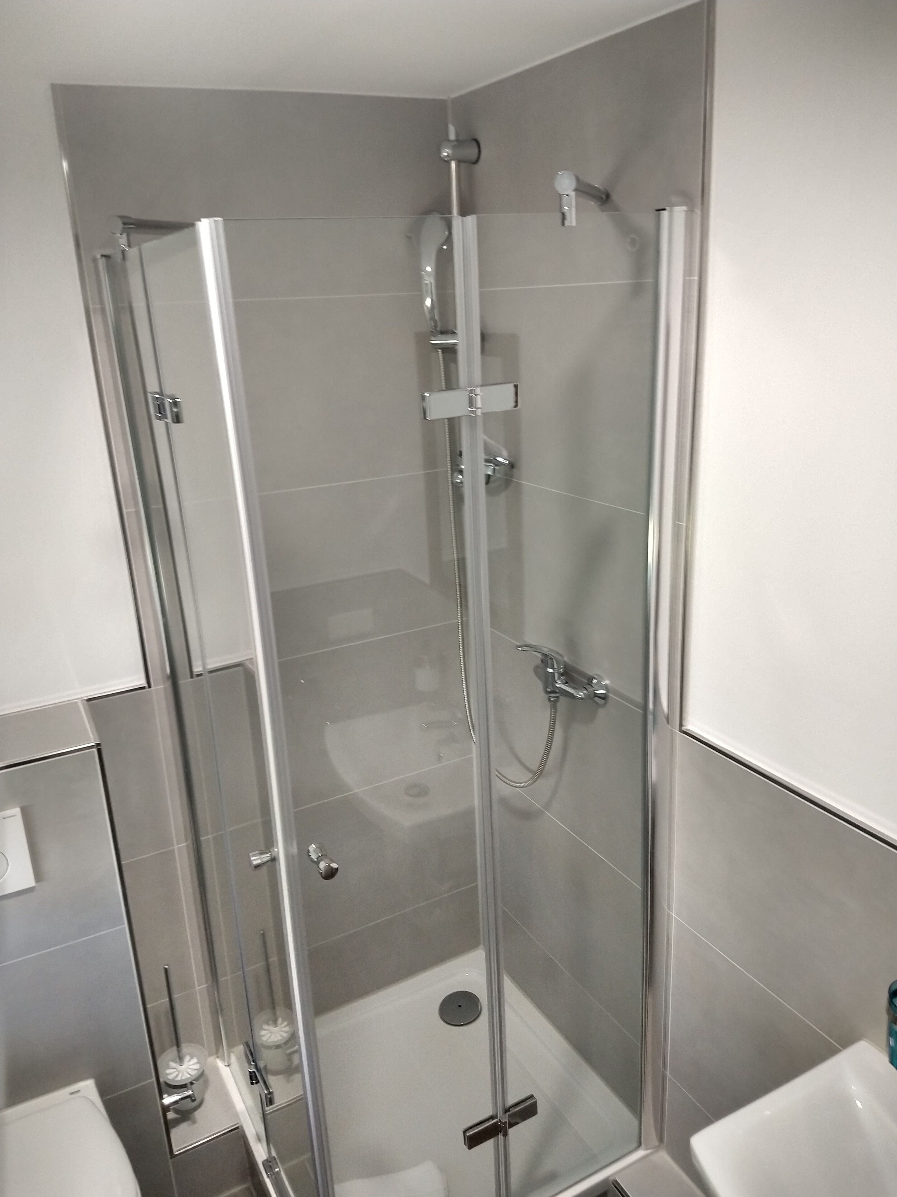 A modern bathroom with a glass-enclosed shower, a white sink, and a toilet.