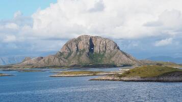 A rugged, rocky island with a cave-like opening, surrounded by calm water and grassy areas.