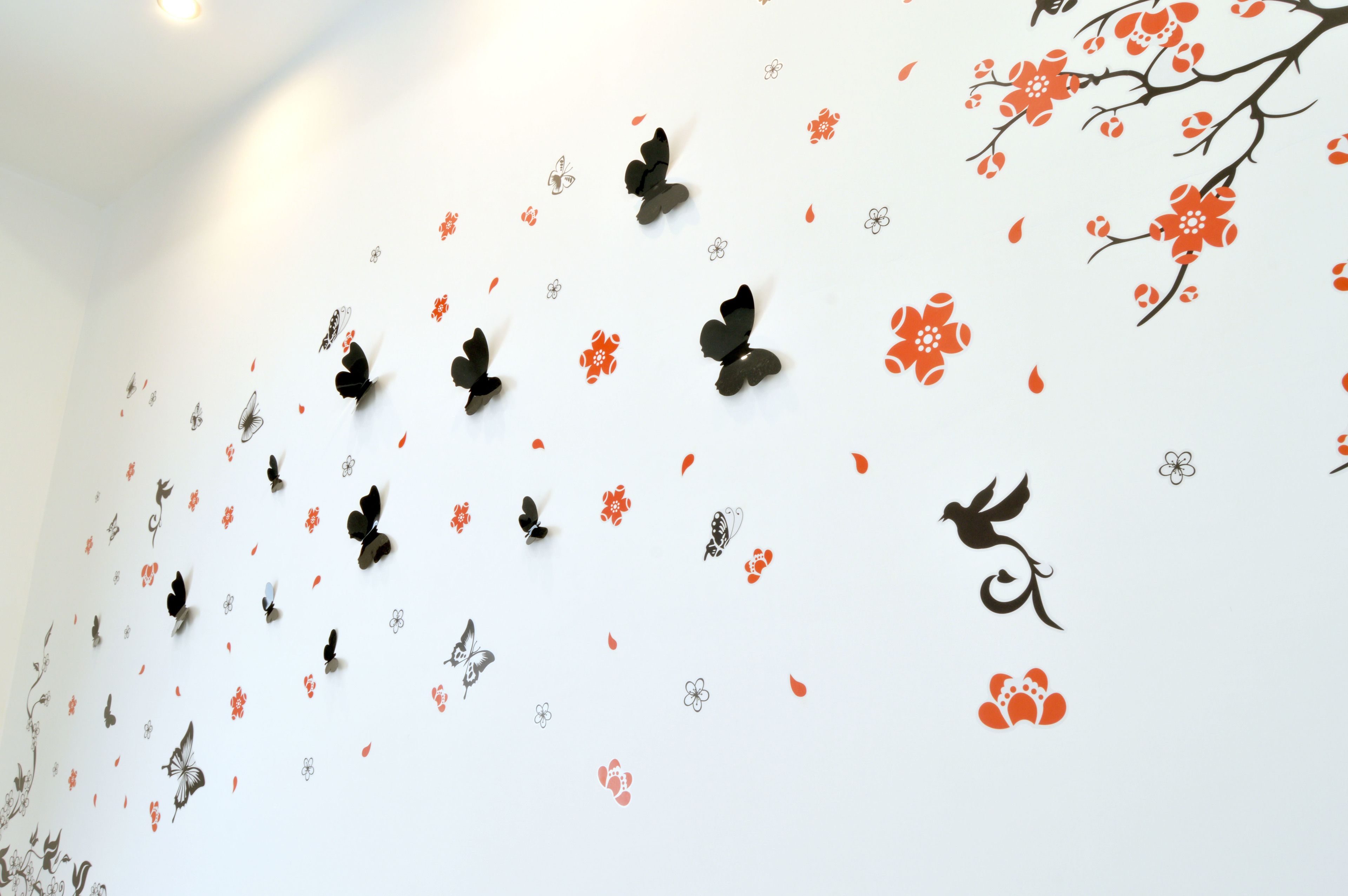 Photo - Napoli central