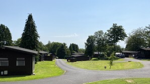 Ein Campingplatz mit mehreren Hütten, einer asphaltierten Straße und umgebender Vegetation.