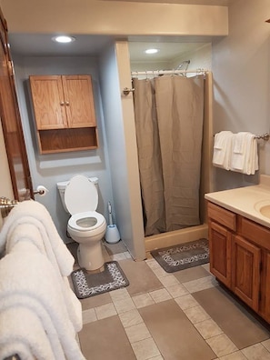 Shower, hair dryer, towels, soap - Cozy and Comfortable Home with a beautiful Mountain View (Soldotna)